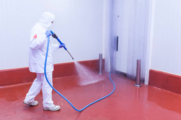 Trusted Lawrenceville, GA Pressure Washing Services Experts